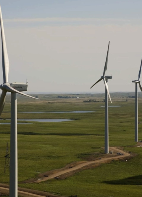 Energia e&oacute;lica assegura 25,4% do consumo em 2025 mas metas exigem resposta c&eacute;lere, segundo relat&oacute;rio &ldquo;Parques E&oacute;licos em Portugal&rdquo;